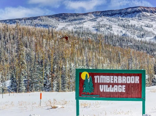 Rustic Cozy Condo with Club House image 10